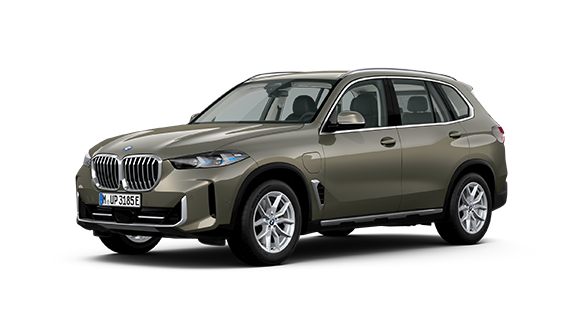 BMW X5.
